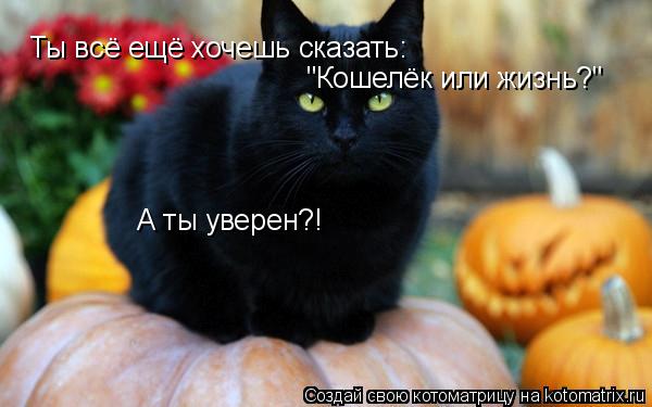 Ты всё ещё хочешь сказать: "Кошелёк или жизнь?" А ты уверен?!... Котоматрица: Ты всё ещё хочешь сказать: "Кошелёк или жизнь?" А ты уверен?!