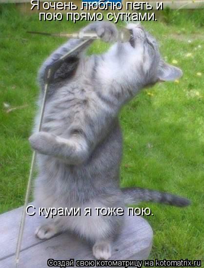 Котоматрица: Я очень люблю петь и пою прямо сутками. С курами я тоже пою.