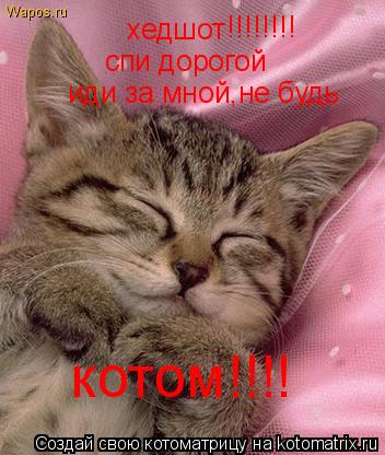 хедшот !!!!!!!! спи дорогой иди за мной,не будь котом!!!!... Котоматрица: хедшот !!!!!!!! спи дорогой иди за мной,не будь котом!!!!