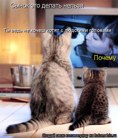 Сынок это делать нельзя Почему Ты ведь не хочеш котят с людскими головами... Котоматрица: Сынок это делать нельзя Почему Ты ведь не хочеш котят с людскими головами