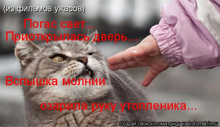 (из фильмов ужасов) Погас свет... Приоткрылась дверь... Вспышка молнии озарила руку утопленика...... Котоматрица: (из фильмов ужасов) Погас свет... Приоткрылась дверь... Вспышка молнии озарила руку утопленика...