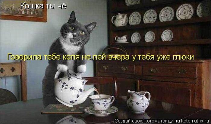 Кошка ты чё Говорила тебе коля не пей вчера у тебя уже глюки... Котоматрица: Кошка ты чё Говорила тебе коля не пей вчера у тебя уже глюки
