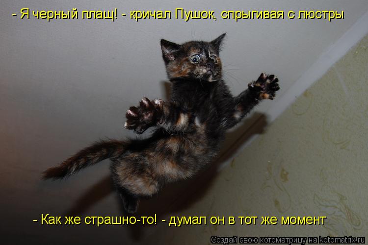 - Как же страшно-то! - думал он в тот же момент - Я черный плащ! - кричал Пушок, спрыгивая с люстры... Котоматрица: - Как же страшно-то! - думал он в тот же момент - Я черный плащ! - кричал Пушок, спрыгивая с люстры