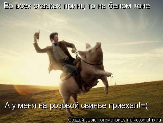 Котоматрица: Во всех сказках принц то на белом коне А у меня на розовой свинье приехал!=(