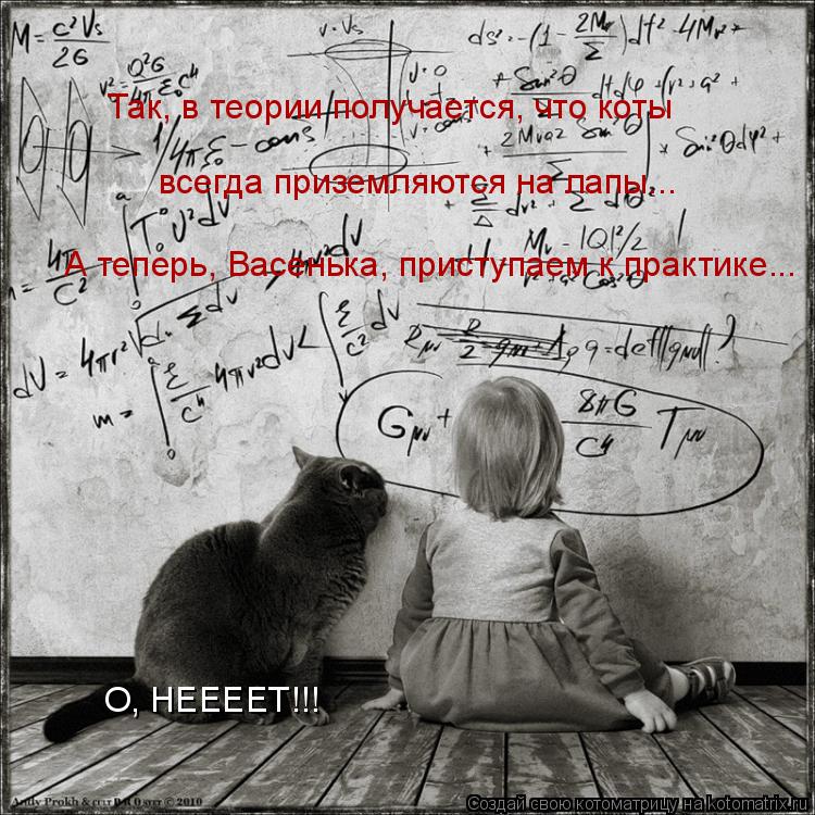Так, в теории получается, что коты всегда приземляются на лапы... А теперь, Васенька, приступаем к п... Котоматрица: Так, в теории получается, что коты всегда приземляются на лапы... А теперь, Васенька, приступаем к практике... О, НЕЕЕЕТ!!!