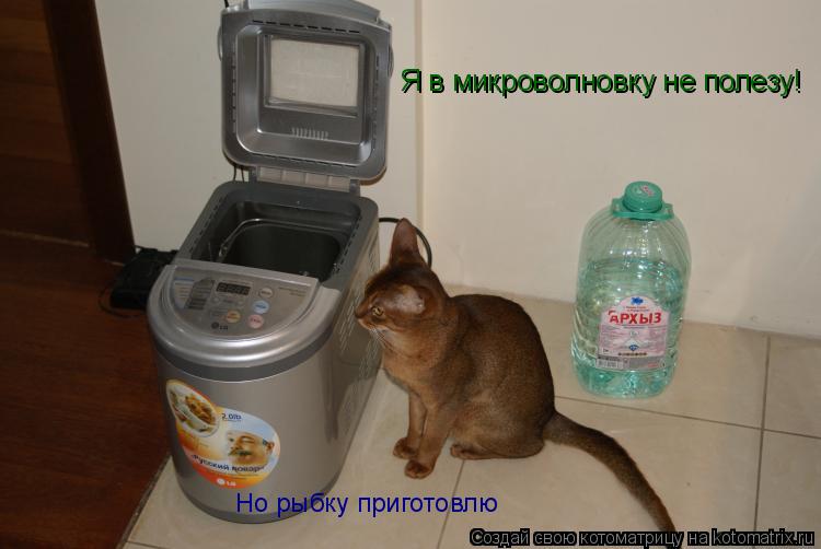 Я в микроволновку не полезу! Но рыбку приготовлю... Котоматрица: Я в микроволновку не полезу! Но рыбку приготовлю