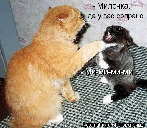 - Ми-ми-ми-ми.... - Милочка, да у вас сопрано!... Котоматрица: - Ми-ми-ми-ми.... - Милочка, да у вас сопрано!
