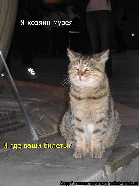 Я хозяин музея. И где ваши билеты?... Котоматрица: Я хозяин музея. И где ваши билеты?