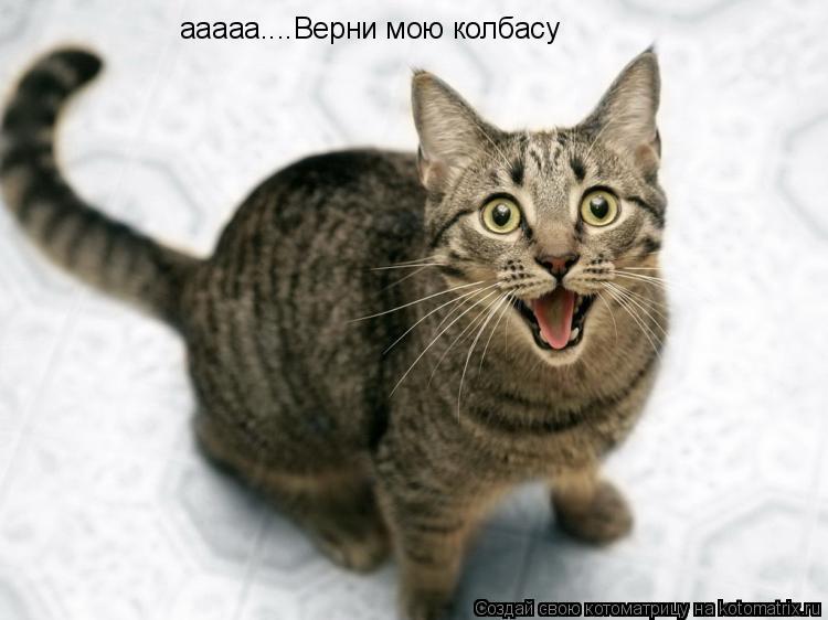 ааааа....Верни мою колбасу... Котоматрица: ааааа....Верни мою колбасу