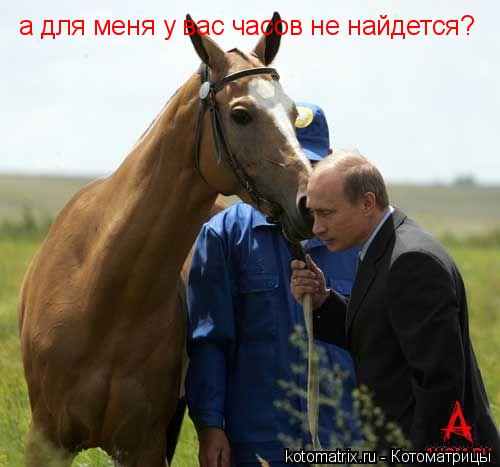а для меня у вас часов не найдется?... Котоматрица: а для меня у вас часов не найдется?