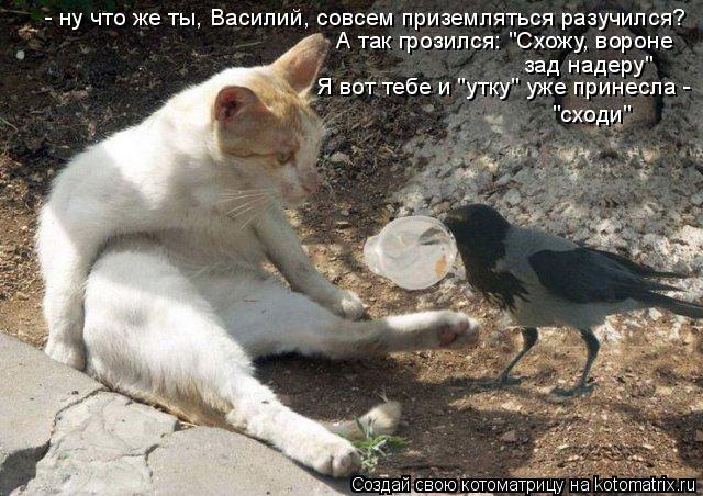 - ну что же ты, Василий, совсем приземляться разучился? А так грозился: "Схожу, вороне зад надеру" Я ... Котоматрица: - ну что же ты, Василий, совсем приземляться разучился? А так грозился: "Схожу, вороне зад надеру" Я вот тебе и "утку" уже принесла - "сходи"