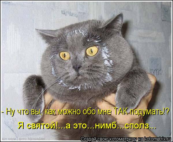 - Ну что вы, как можно обо мне ТАК подумать!? Я святой!...а это...нимб...сполз...... Котоматрица: - Ну что вы, как можно обо мне ТАК подумать!? Я святой!...а это...нимб...сполз...