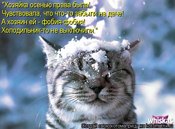 Чувствовала, что что-то забыли на даче! А хозяин ей - фобия-фобия! Холодильник-то не выключили." "Х... Котоматрица: Чувствовала, что что-то забыли на даче! А хозяин ей - фобия-фобия! Холодильник-то не выключили." "Хозяйка осенью права была!
