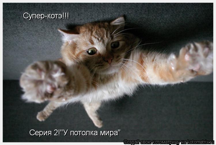 Супер-котэ!!! Серия 2!"У потолка мира"... Котоматрица: Супер-котэ!!! Серия 2!"У потолка мира"