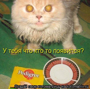 У тебя что кто то появился?... Котоматрица: У тебя что кто то появился?