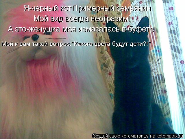 Я-черный кот.Примерный семьянин. Мой вид всегда неотразим! А это-женушка моя измазалась в буфете Мой ... Котоматрица: Я-черный кот.Примерный семьянин. Мой вид всегда неотразим! А это-женушка моя измазалась в буфете Мой к вам такой вопрос:"Какого цвета будут д