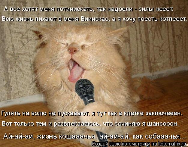 А все хотят меня потииискать, так надоели - силы нееет. Всю жизнь пихают в меня Вииискас, а я хочу по... Котоматрица: А все хотят меня потииискать, так надоели - силы нееет. Всю жизнь пихают в меня Вииискас, а я хочу поесть котлееет. Гулять на волю не пускаааю