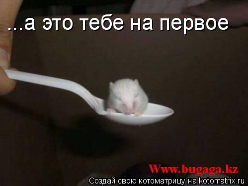 ...а это тебе на первое... Котоматрица: ...а это тебе на первое