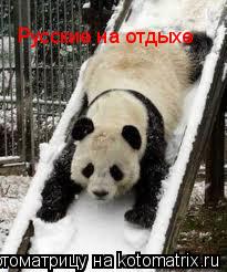 Русские на отдыхе... Котоматрица: Русские на отдыхе