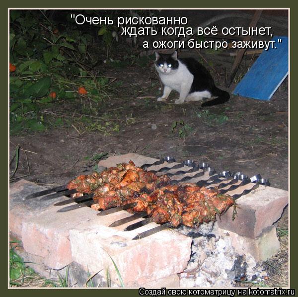 "Очень рискованно ждать когда всё остынет, а ожоги быстро заживут."... Котоматрица: "Очень рискованно ждать когда всё остынет, а ожоги быстро заживут."