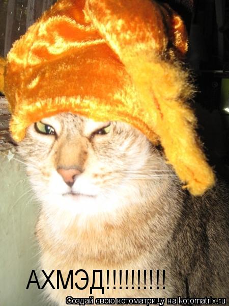 АХМЭД!!!!!!!!!!... Котоматрица: АХМЭД!!!!!!!!!!