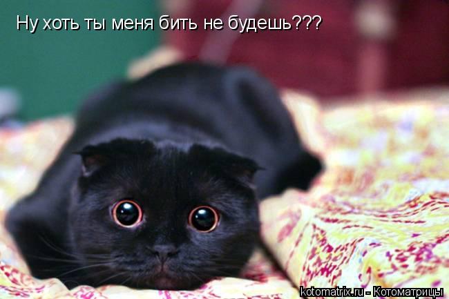 Ну хоть ты меня бить не будешь???... Котоматрица: Ну хоть ты меня бить не будешь???