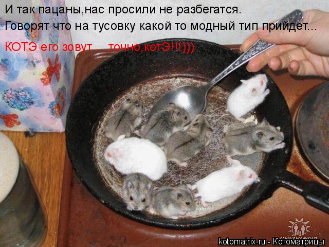 И так пацаны,нас просили не разбегатся. Говорят что на тусовку какой то модный тип прийдет... КОТЭ ег... Котоматрица: И так пацаны,нас просили не разбегатся. Говорят что на тусовку какой то модный тип прийдет... КОТЭ его зовут.....точно,котЭ!!!)))
