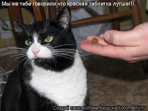 Мы же тебе говорили,что красная таблетка лутше!!!... Котоматрица: Мы же тебе говорили,что красная таблетка лутше!!!
