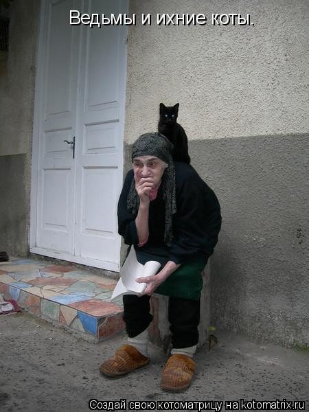 Ведьмы и ихние коты.... Котоматрица: Ведьмы и ихние коты.