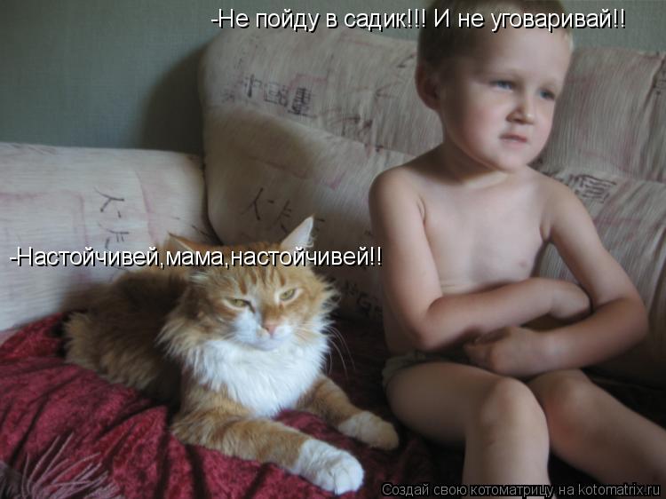 -Не пойду в садик!!! И не уговаривай!! -Настойчивей,мама,настойчивей!!... Котоматрица: -Не пойду в садик!!! И не уговаривай!! -Настойчивей,мама,настойчивей!!