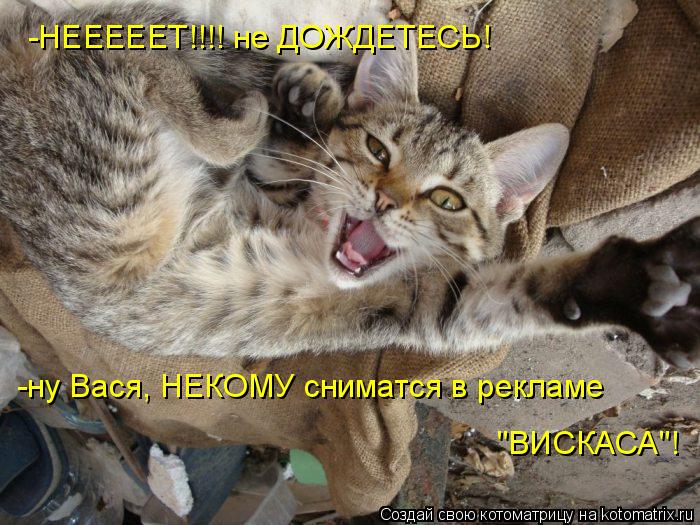 -НЕЕЕЕЕТ!!!! не ДОЖДЕТЕСЬ! -ну Вася, НЕКОМУ сниматся в рекламе "ВИСКАСА"!... Котоматрица: -НЕЕЕЕЕТ!!!! не ДОЖДЕТЕСЬ! -ну Вася, НЕКОМУ сниматся в рекламе "ВИСКАСА"!