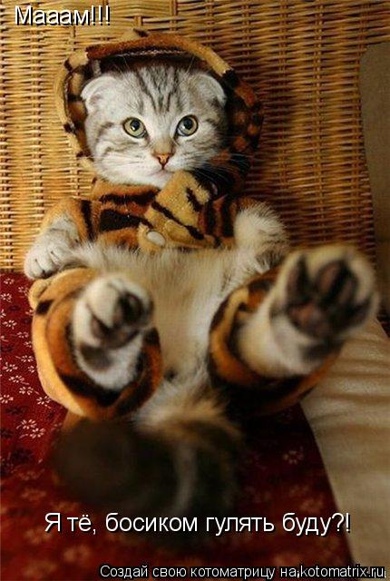 Мааам!!! Я тё, босиком гулять буду?!... Котоматрица: Мааам!!! Я тё, босиком гулять буду?!
