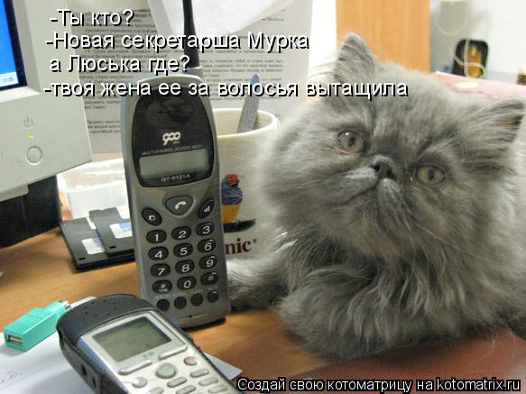 -Ты кто? а Люська где? -твоя жена ее за волосья вытащила -Новая секретарша Мурка... Котоматрица: -Ты кто? а Люська где? -твоя жена ее за волосья вытащила -Новая секретарша Мурка