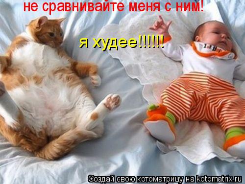 не сравнивайте меня с ним! я худее!!!!!!... Котоматрица: не сравнивайте меня с ним! я худее!!!!!!