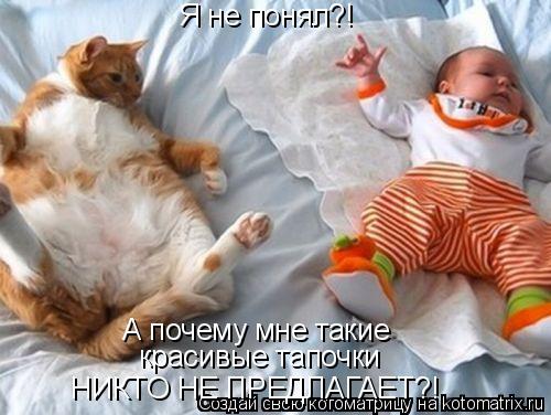 Я не понял?! А почему мне такие красивые тапочки НИКТО НЕ ПРЕДЛАГАЕТ?!... Котоматрица: Я не понял?! А почему мне такие красивые тапочки НИКТО НЕ ПРЕДЛАГАЕТ?!
