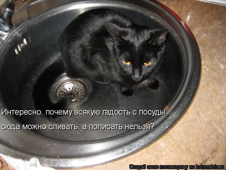 Интересно, почему всякую гадость с посуды сюда можно сливать, а пописать нельзя?... Котоматрица: Интересно, почему всякую гадость с посуды сюда можно сливать, а пописать нельзя?