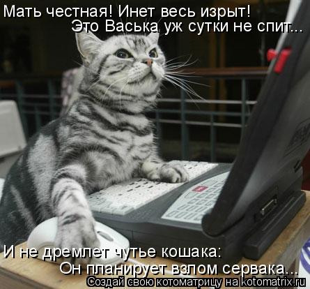 Мать честная! Инет весь изрыт! Это Васька уж сутки не спит... И не дремлет чутье кошака: Он планирует... Котоматрица: Мать честная! Инет весь изрыт! Это Васька уж сутки не спит... И не дремлет чутье кошака: Он планирует взлом сервака...