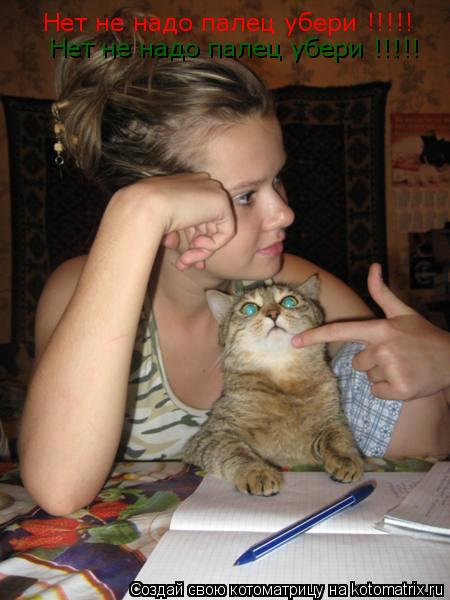 Нет не надо палец убери !!!!! Нет не надо палец убери !!!!!... Котоматрица: Нет не надо палец убери !!!!! Нет не надо палец убери !!!!!