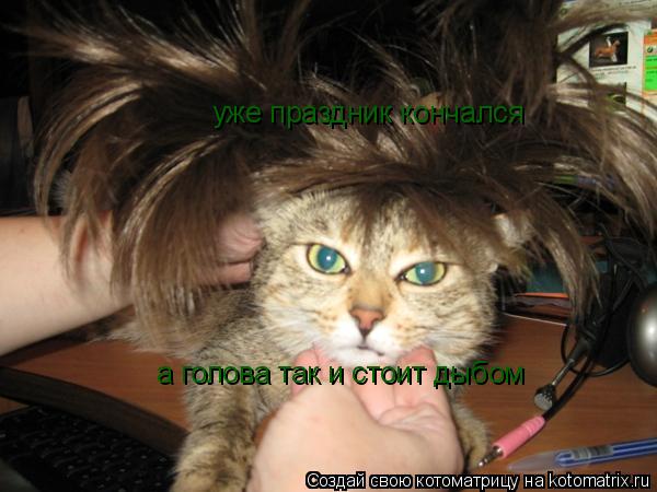 уже праздник кончался а голова так и стоит дыбом... Котоматрица: уже праздник кончался а голова так и стоит дыбом