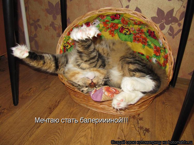 Мечтаю стать балериииной!!!... Котоматрица: Мечтаю стать балериииной!!!
