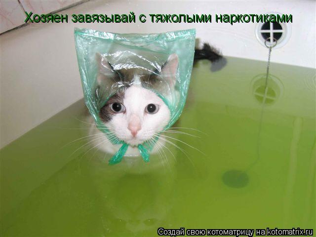 [ Хозяен завязывай с тяжолыми наркотиками... Котоматрица: [ Хозяен завязывай с тяжолыми наркотиками
