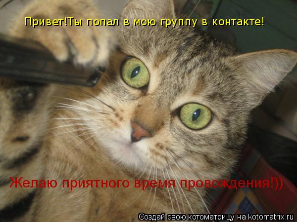 Привет!Ты попал в мою группу в контакте! Желаю приятного время провождения!))... Котоматрица: Привет!Ты попал в мою группу в контакте! Желаю приятного время провождения!))