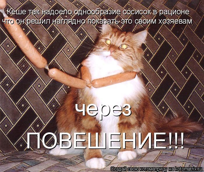 Кеше так надоело однообразие сосисок в рационе что он решил наглядно показать это своим хозяевам чере... Котоматрица: Кеше так надоело однообразие сосисок в рационе что он решил наглядно показать это своим хозяевам через ПОВЕШЕНИЕ!!!
