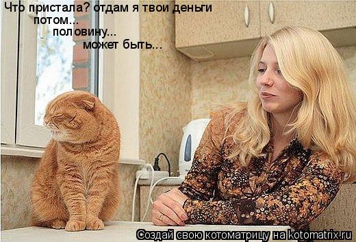 Что пристала? отдам я твои деньги потом... половину... может быть...... Котоматрица: Что пристала? отдам я твои деньги потом... половину... может быть...