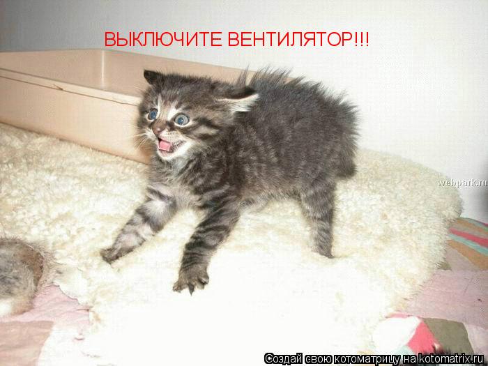 ВЫКЛЮЧИТЕ ВЕНТИЛЯТОР!!!... Котоматрица: ВЫКЛЮЧИТЕ ВЕНТИЛЯТОР!!!