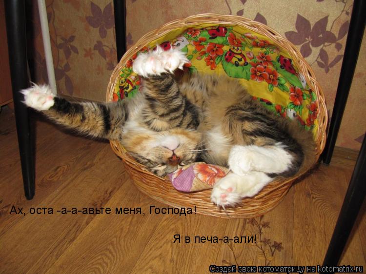 Ах, оста -а-а-авьте меня, Господа! Я в печа-а-али!... Котоматрица: Ах, оста -а-а-авьте меня, Господа! Я в печа-а-али!