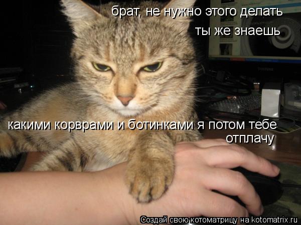 брат, не нужно этого делать ты же знаешь какими корврами и ботинками я потом тебе отплачу... Котоматрица: брат, не нужно этого делать ты же знаешь какими корврами и ботинками я потом тебе отплачу