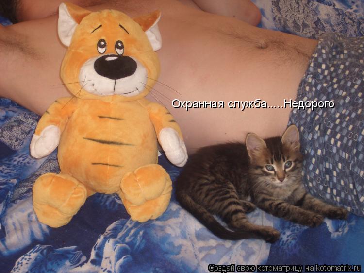 Охранная служба.....Недорого... Котоматрица: Охранная служба.....Недорого