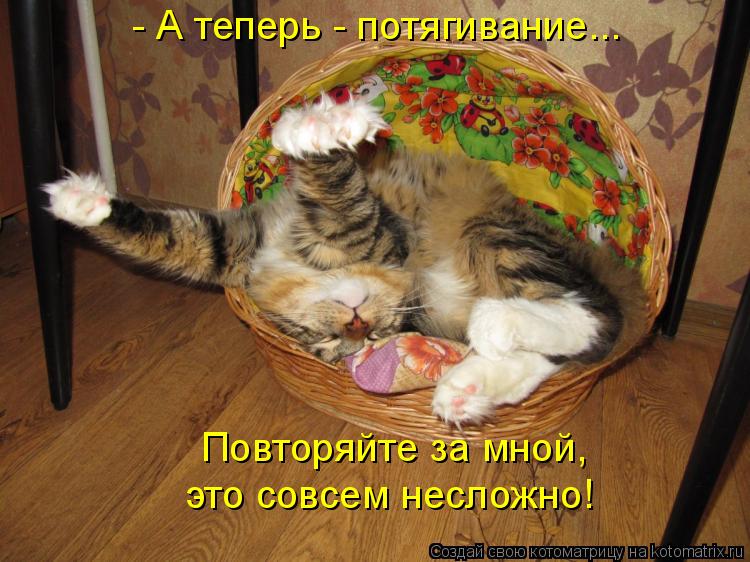 - А теперь - потягивание... Повторяйте за мной, это совсем несложно!... Котоматрица: - А теперь - потягивание... Повторяйте за мной, это совсем несложно!