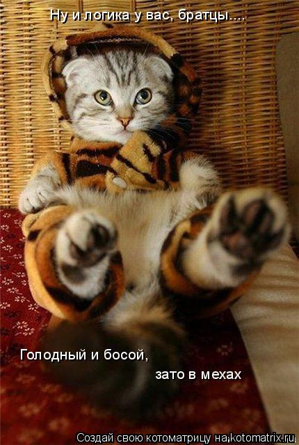 Ну и логика у вас, братцы.... Голодный и босой, зато в мехах... Котоматрица: Ну и логика у вас, братцы.... Голодный и босой, зато в мехах